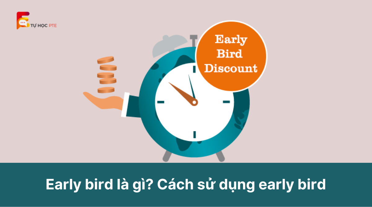 Early bird là gì Cách sử dụng early bird trong giao tiếp