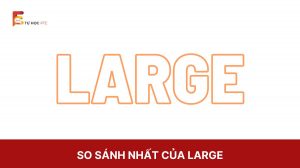 Large nghĩa là gì? So sánh nhất của large trong tiếng Anh