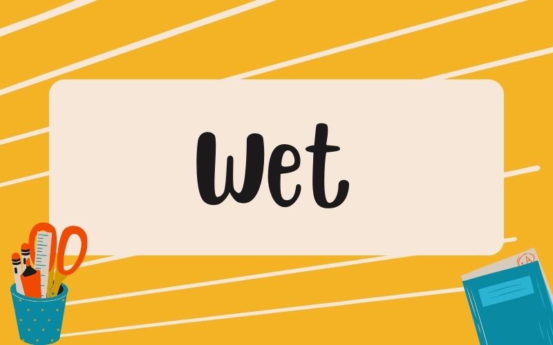 Ý nghĩa của wet trong tiếng Anh